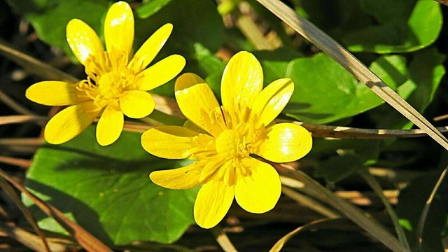 Csodálatos természet 08